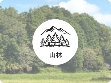 山林